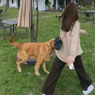 我是一片云
